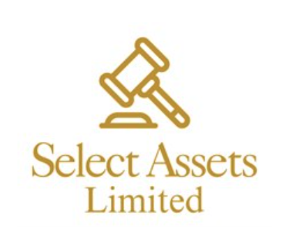 Select Assets - Premium Trade-Only Asset Platform